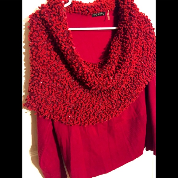 Gabi & Eden shall/cowl sweater - Picture 1 of 6